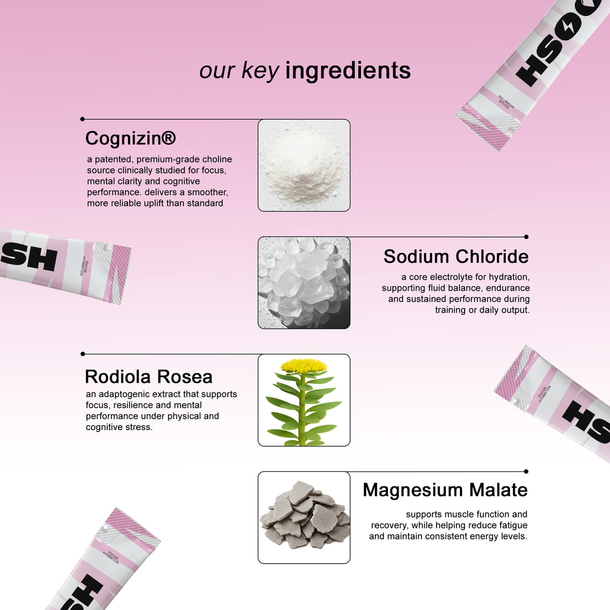 OOSH Focus Hydration key ingredients infographic